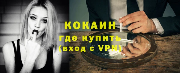 твердый Бородино