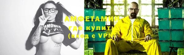 твердый Бородино