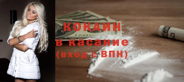 твердый Бородино