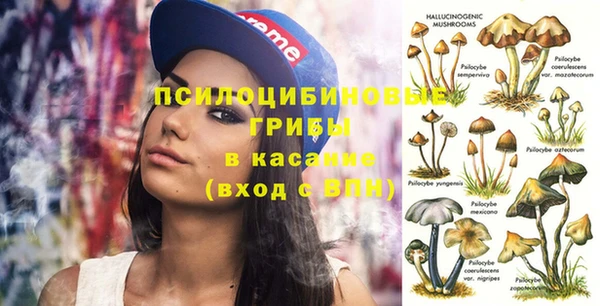 твердый Бородино