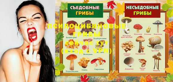 герыч Бронницы