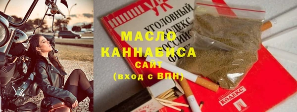 твердый Бородино