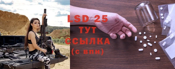твердый Бородино