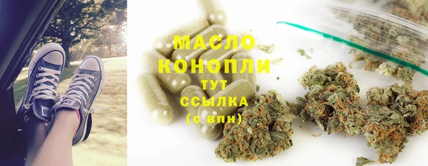 твердый Бородино