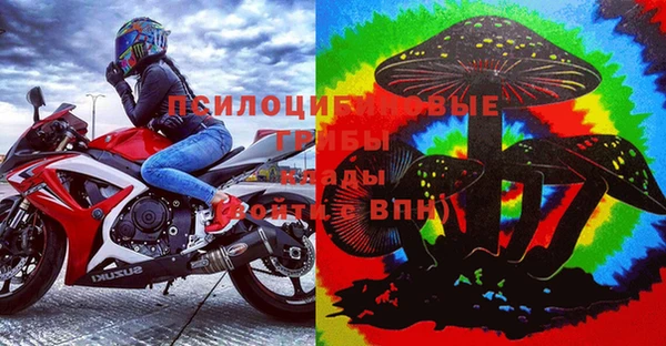 твердый Бородино